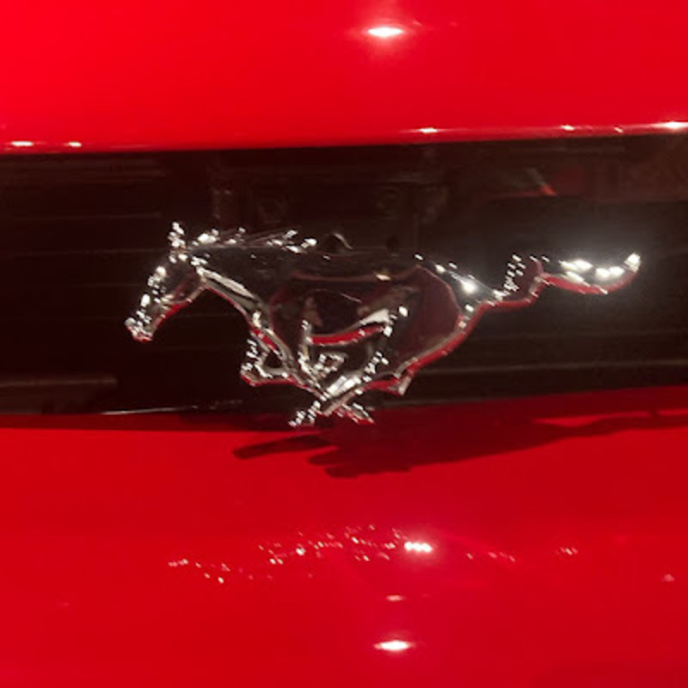 Meet your Posher, Noah